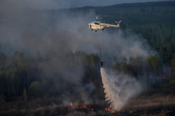 Пожарные потушили пожар под Чернобылем
