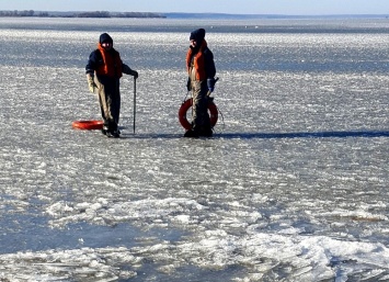 Одесские спасатели освободили из ледяного плена четырех лебедей