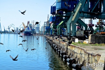 Николаевский морской порт назвал себя лидером по перевалке зерновых и масла