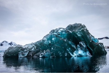 В Антарктиде запечатлели очень редкое зрелище (ФОТО)