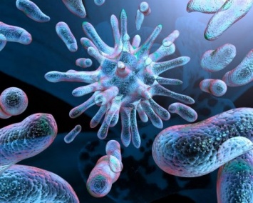 Ученые: Хищная бактерия поможет уничтожить инфекции