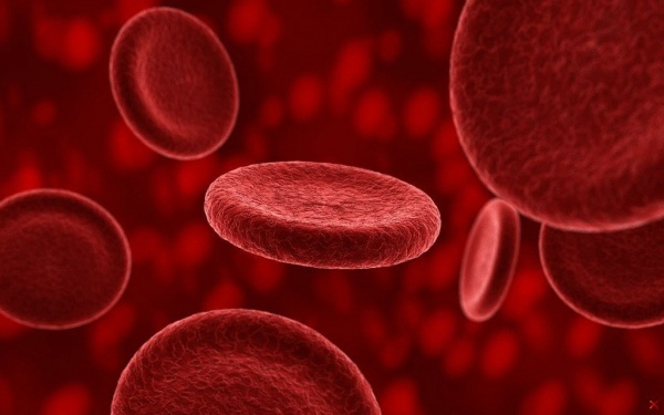 Красноярские врачи разработали программу штрихкодирования для переливания крови