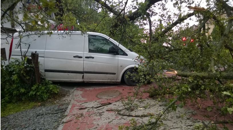ГСЧС: ураган в селе Свитязь повалил 50 деревьев и травмировал 7 человек