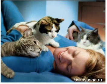Почему кошкам нравится спать рядом с хозяевами?