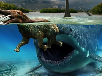 Останки древней акулы-монстра нашли в Мексике