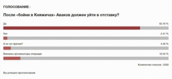 Украинцы потребовали отставки Авакова после трагедии в Княжичах (опрос)