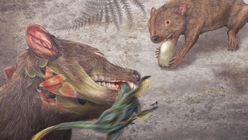 Палеонтологи нашли сумчатого "барсука", поедавшего динозавров