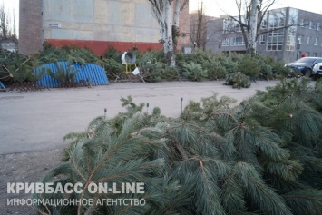 17 пунктов продажи елок Кривого Рога не смогли доказать качество лесных красавиц (фото)