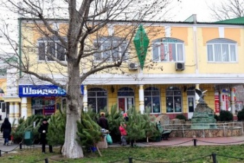 В Черноморске открылся первый елочный базар (фото)
