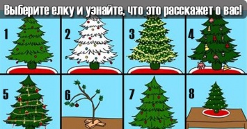 Выберите елочку и узнайте, что она расскажет о вашей личности!