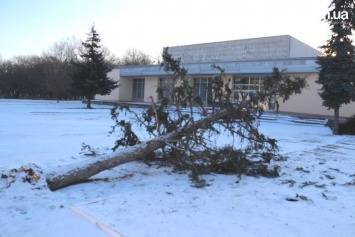 На Днепропетровщине военные поломали елку