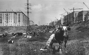 Открытие выставки «История России в фотографиях. 1946-1964» пройдет в Казани