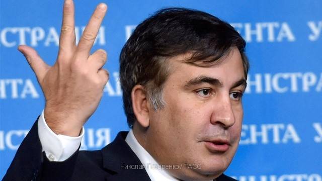 Саакашвили провел встречу с противниками назначения Гайдар