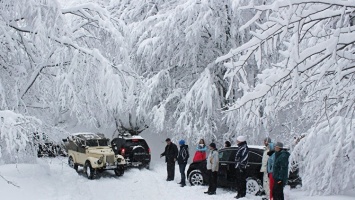 Крымские спасатели за сутки вывели из леса девять заблудившихся туристов
