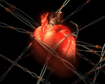 Ученые создали позволяющие контролировать работу сердца клетки