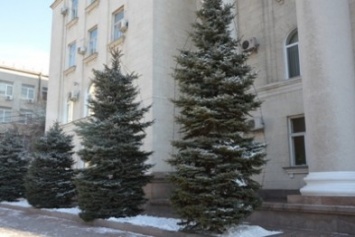 Школьники Кропивницкого изготовили игрушки для украшения елок любимого города