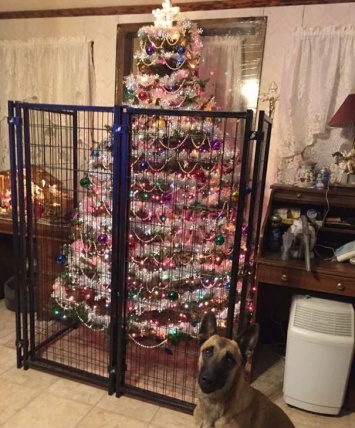 Как защитить рождественскую елку от домашних любимцев