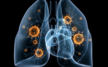 Ученые нашли новый способ борьбы с туберкулезом