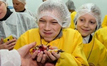 Дети из Днепра посетили конфетную фабрику