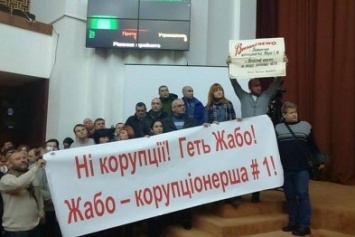 Противники начальницы Полтавской областной МСЭ устроили акцию протеста в областном совете (Фото)