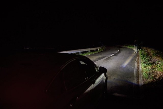 Автомобили Ford научились видеть ночью абсолютно все (ВИДЕО)