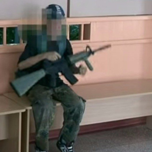В Запорожской области подростки с «оружием» пытались захватить школу
