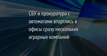 СБУ и прокуратура с автоматами вторглись в офисы сразу нескольких аграрных компаний