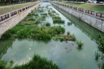 За разработку проектов по очистке сумских водоемов чиновники заплатят больше 1 млн. грн