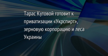 Тарас Кутовой готовит к приватизации «Укрспирт», зерновую корпорацию и леса Украины