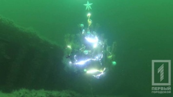 Дайверы установили елку на морском дне и отметили Новый год на затонувшем судне Sulina