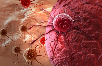 Жир способствует появлению раковых опухолей - ученые