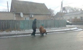 В Запорожской области пожилой мужчина возит больную жену на тележке