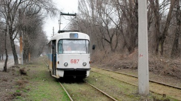В Каменском вырезали около 180 метров троллей: руководство КП "Трамвай" ищет поддержки у Авакова