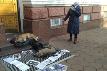 Вход в областное управление полиции в Одессе завалили трупами животных (ФОТО)