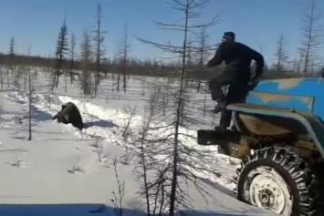 Садистское убийство медведя в России: появилось видео допроса подозреваемого