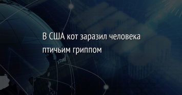 В США кот заразил человека птичьим гриппом