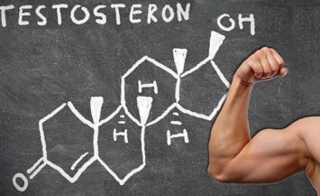 Ученые: Тестостерон делает людей добрее