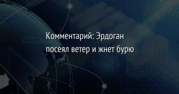 Комментарий: Эрдоган посеял ветер и жнет бурю