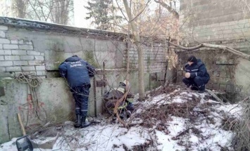 В Днепре освободили собаку, а она укусила спасателя (Видео, Фото)