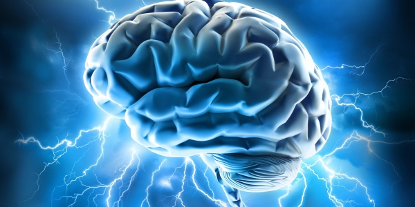 Обнаружен участок мозга, отвечающий за уникальность человека – ученые