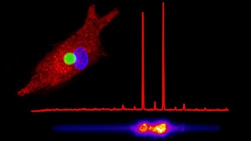 Ученые "вооружили" крошечными лазерами живые клетки