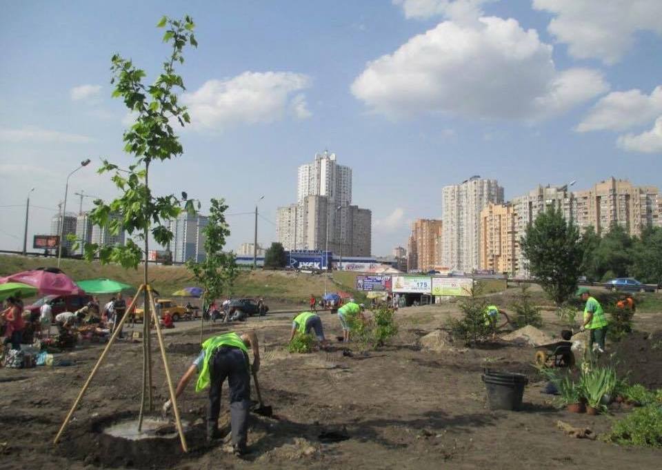 В Киеве на Осокорках деревья поливают бензином и солярой