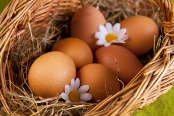 Ученые: Употребление яиц полезно мужчинам