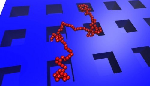 Ученым изучать ДНК на наноразмерном уровне позволяет технология "молекулярного тетриса"