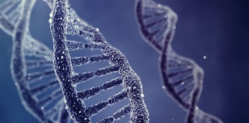 Сенсационное открытие поможет лечить генетические и онкологические заболевания