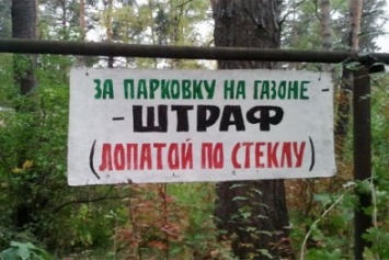 Херсонский мэр подтвердил: парковщики могут выписывать водителям протоколы (документ)