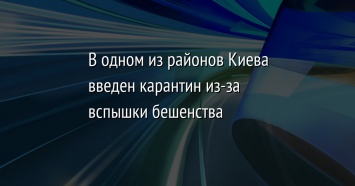 В одном из районов Киева введен карантин из-за вспышки бешенства