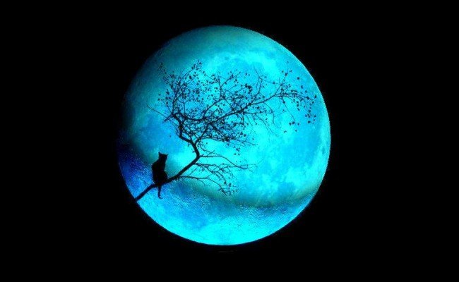 Редкую «голубую Луну» можно будет наблюдать в пятницу