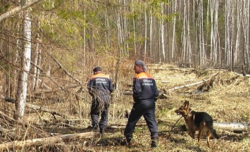 В Красноярском крае пропал 10-летний ребенок