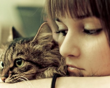 Ученые: Кошки провоцируют ПМС у женщин